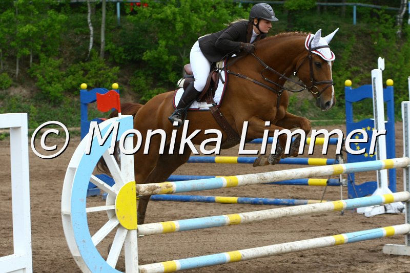 104M3412_No Problem_Punkte L.JPG